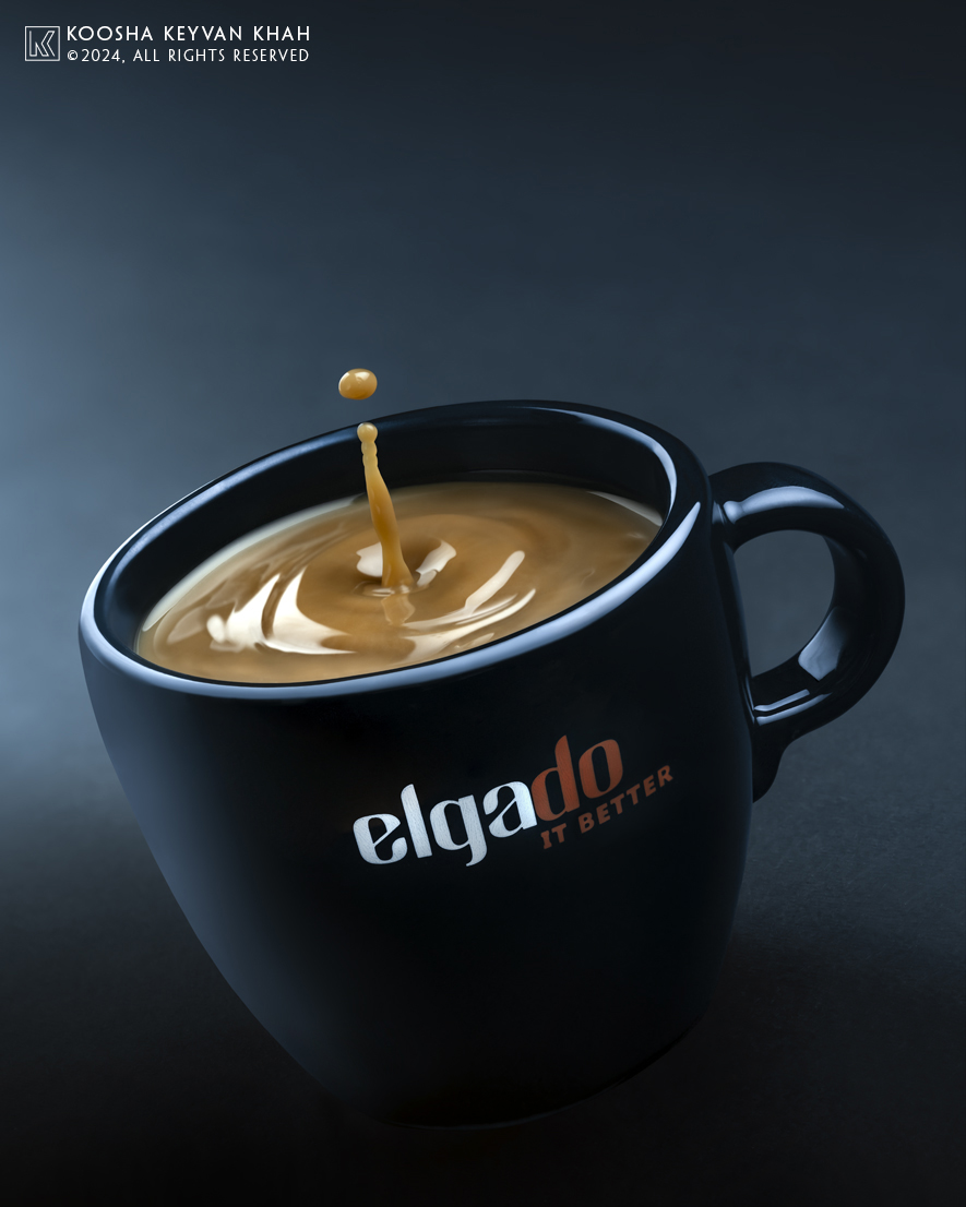 client: Elgado
